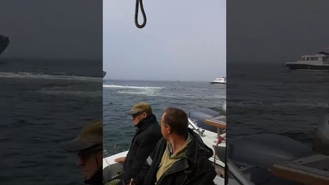 Ура! Морская рыбалка! смотреть онлайн