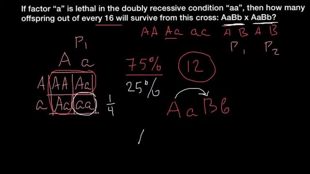 Lethal Allele Problem