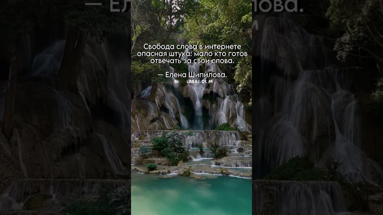 Свобода слова в интернете опасная штука: мало кто готов отвечать за свои слова. Елена Шипилова®. смотреть онлайн