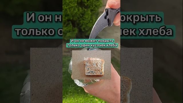 МОЖНО ЛИ ЕСТЬ ХЛЕБ С ПЛЕСЕНЬЮ?! смотреть онлайн