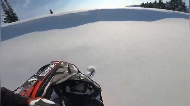 12 февраля 2023 г.