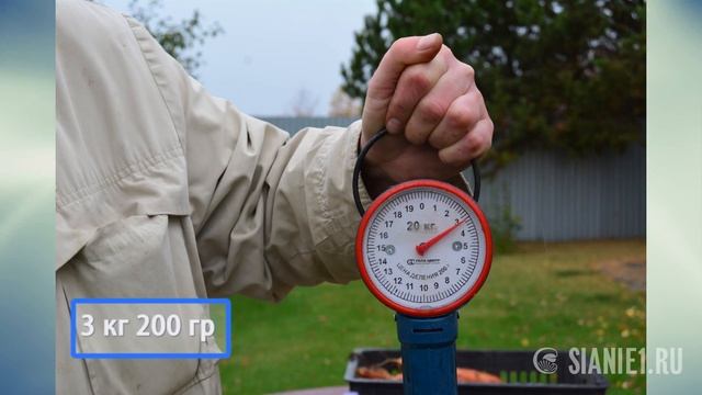 Осенний посев семян моркови. При какой температуре лучше? смотреть онлайн