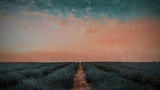 New 3 in 1 Relaxation Effect App: Magic Relaxing Meditation Music, Affirmations, and Healing Color смотреть онлайн