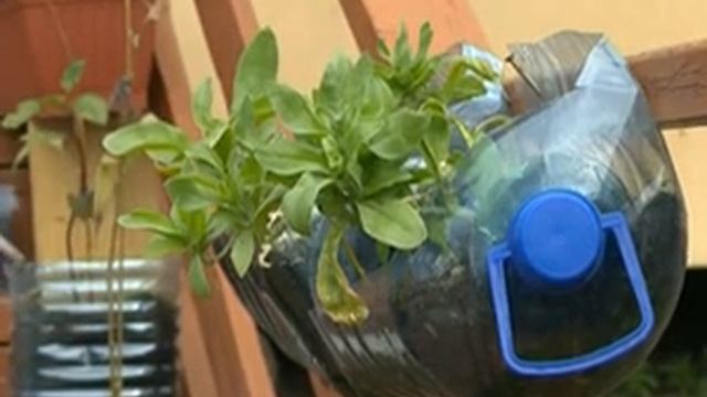 «Улицы нашего города» ул.Рабочая,  ул.Строителей