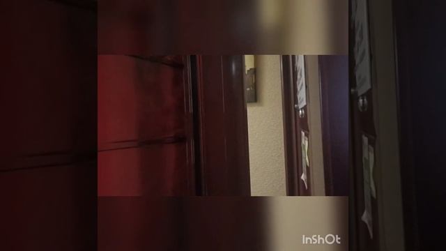 Купить квартиру в Барнауле| Купить новостройку| Династия24, Барнаул смотреть онлайн