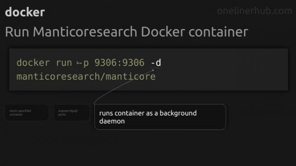 Run Manticoresearch Docker container #docker