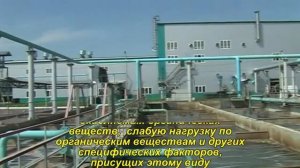 Воронежсинтезкаучук