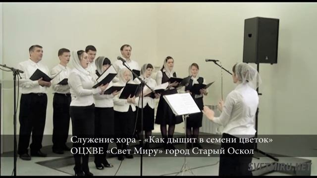 Служение хора - Как дышит в семени цветок смотреть онлайн