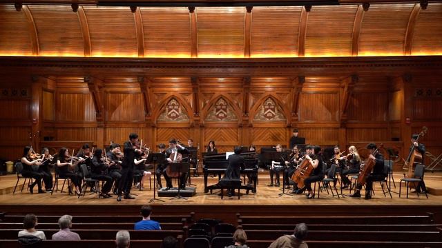 Beethoven: Triple Concerto, op. 56: I. Allegro смотреть онлайн
