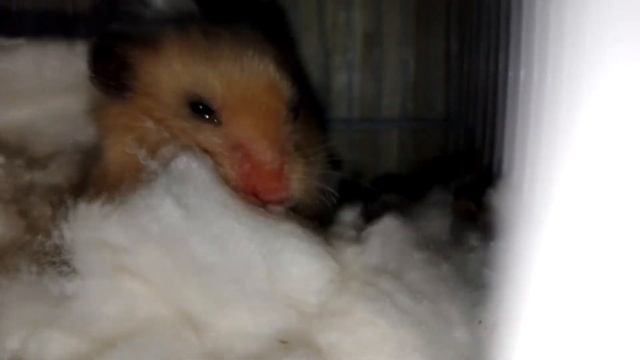 ПЛЕТЕНИЕ ПОСТЕЛЬНЫХ ПРИНАДЛЕЖНОСТЕЙ из ваты ..........._))))))))))))))))))))))))..... смотреть онлайн