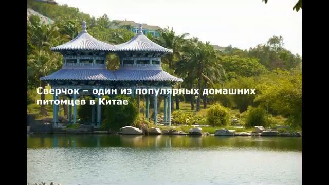 ?? Китай. Остров Хайнань смотреть онлайн