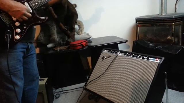 1975 Fender Twin Reverb Blackfaced / mods with Fender Strat смотреть онлайн