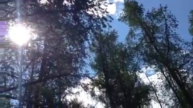 Алтай 11 смотреть онлайн