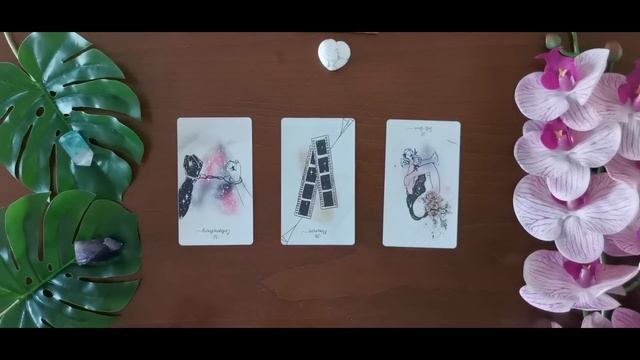 Future Spouse Channeled Messages ? Online Tarot Reading смотреть онлайн