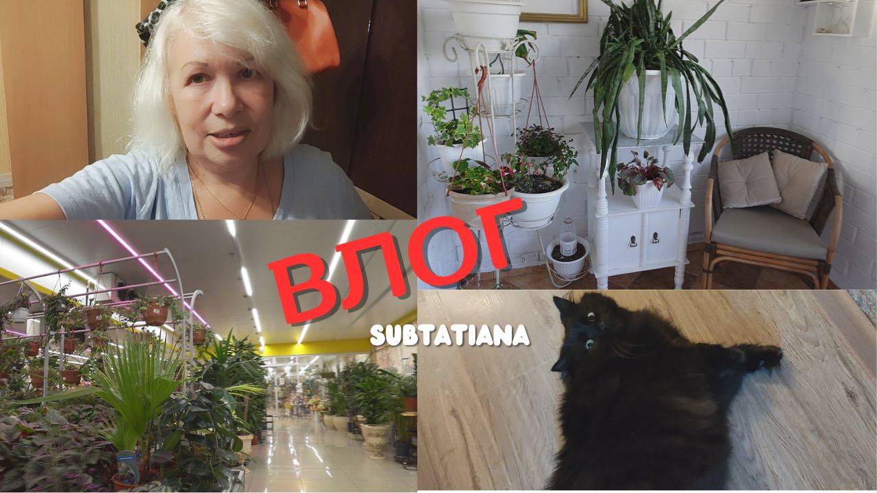 Влог/Свозили кота к ветеринару/Что купила для зимнего сада/Кому сныти/Съездили в Садовый центр смотреть онлайн