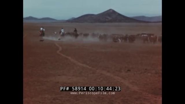 LIFE IN CALIFORNIA IN THE 1800s RANCHO LAS SALINAS EDUCATIONAL FILM 58914 смотреть онлайн