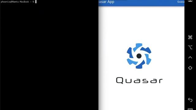 Vue.js로 개발하는 - Quasar framework :: 1. 설치하기 / 프로젝트 만들기 / 파일 구조 설명 смотреть онлайн
