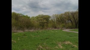 Окрестности посёлка Кшенский. Курская область. 2.05.2021