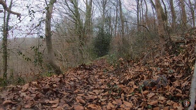 Sortie Vtt Fatbike " La St Barnard du château en pleine Chasse" смотреть онлайн