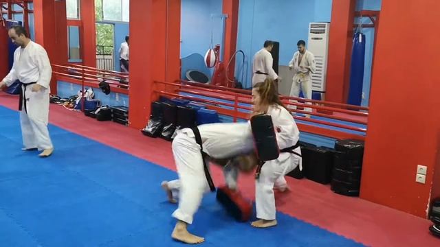Ashihara Karate - AIKO/AIF GREECE смотреть онлайн