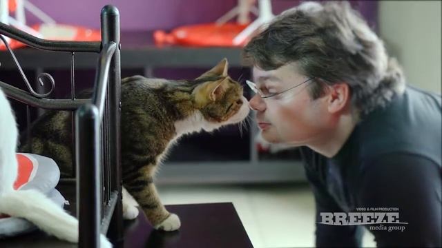 Презентационный ролик «Royal Canin и Республика Кошек»