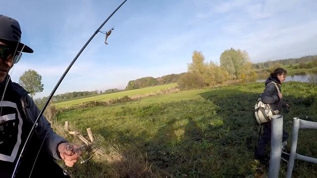 ТРОФЕЙНЫЙ ОКУНЬ с берега! Трудовая рыбалка с гидом в Голландии. Favorite Team. смотреть онлайн