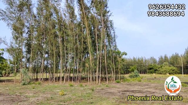 Ad:104 - (Sold Out) Low budget investment property for sale near marakkanam |1.13 acre| смотреть онлайн