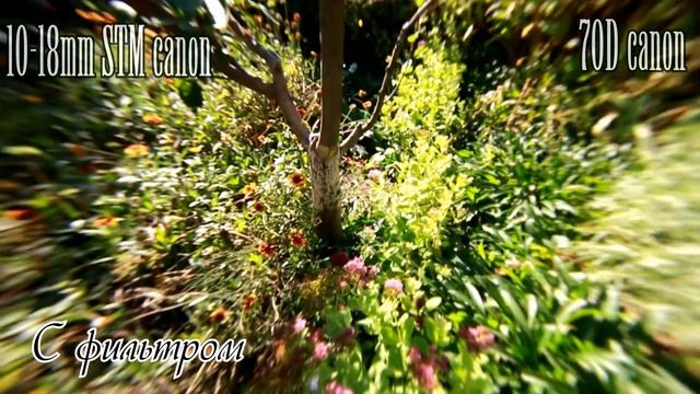 Китайский макро фильт на 10 - 18мм canon часть 2 смотреть онлайн