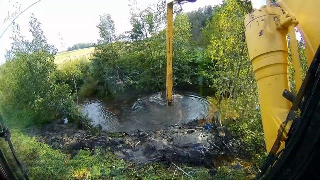 Бобры скрыли эту плотину в кустарнике