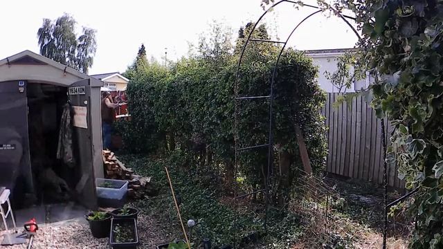 Hedge Trimming using Einhell cordless hedge trimmers. смотреть онлайн