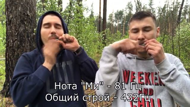 ВАРГАНОТЕРАПИЯ исцеление звуком, МАНИПУРА чакра