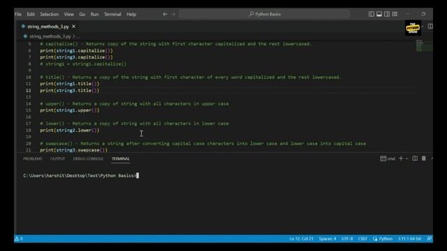 35. capitalize(), title(), upper(), lower(), swapcase(), encode() in string python смотреть онлайн