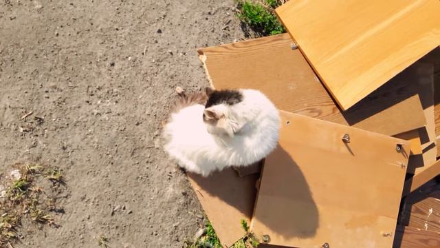 Я ХОРОШАЯ! ВОЗЬМИ МЕНЯ! смотреть онлайн