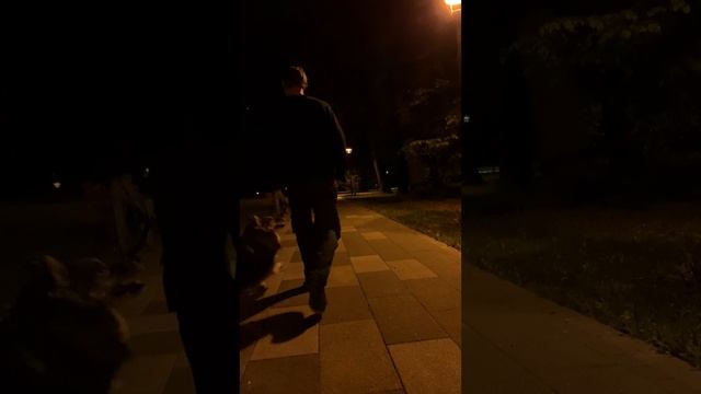 Все в этом мире лишь сон смотреть онлайн