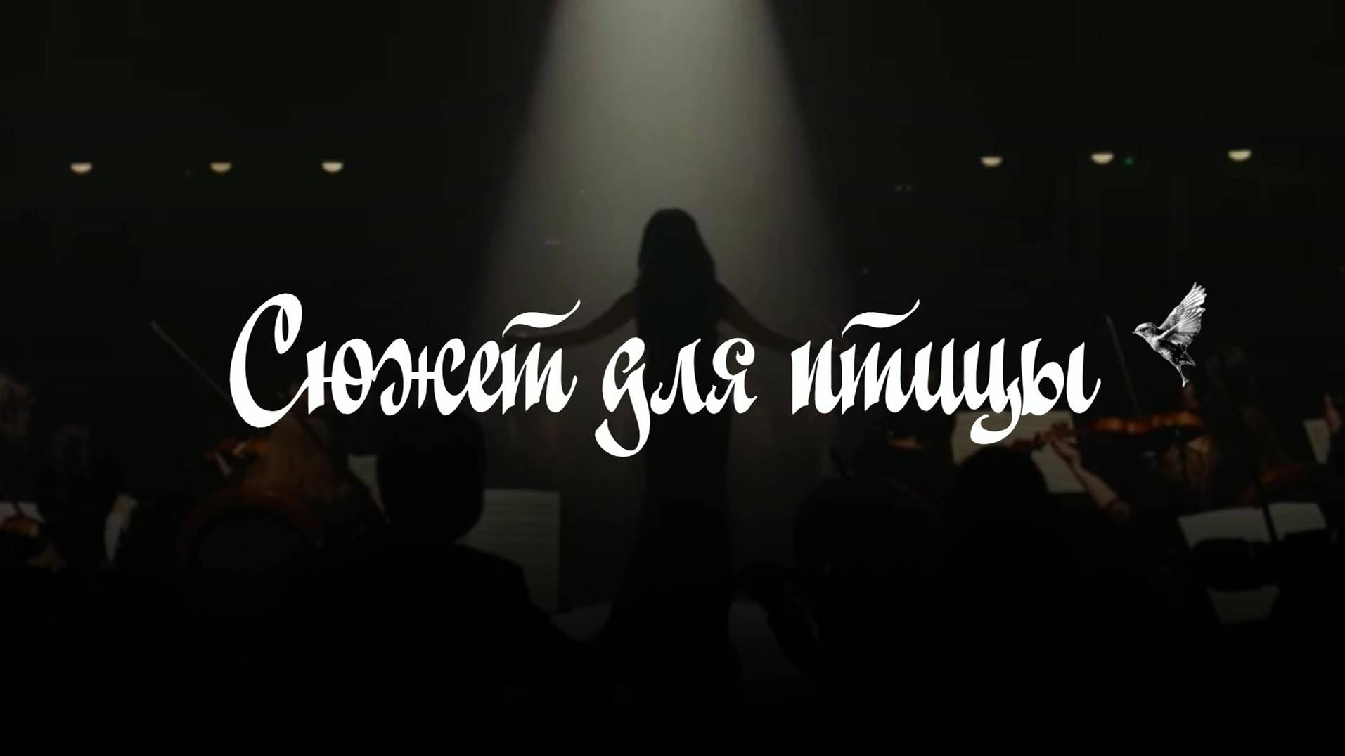 Сюжет для птицы. Любовь Кузнецова. смотреть онлайн