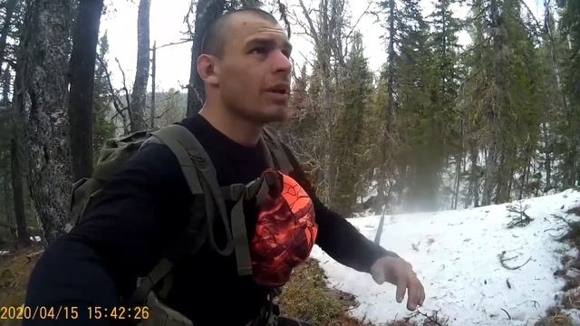 Брождения по лесу в поисках Медведя. смотреть онлайн