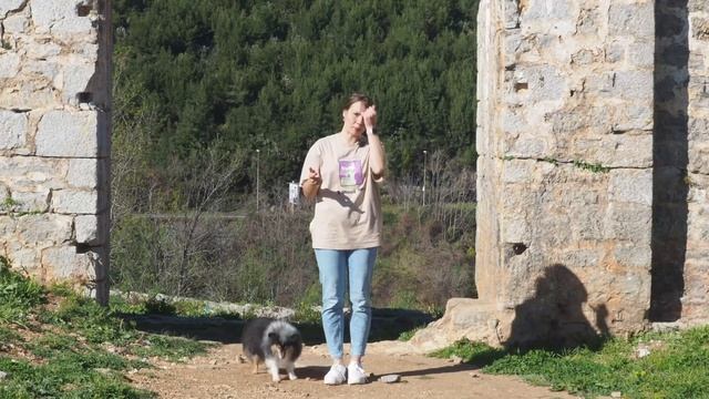 Трюк Домик и команды из домика, дом, нахождение собаки между ног