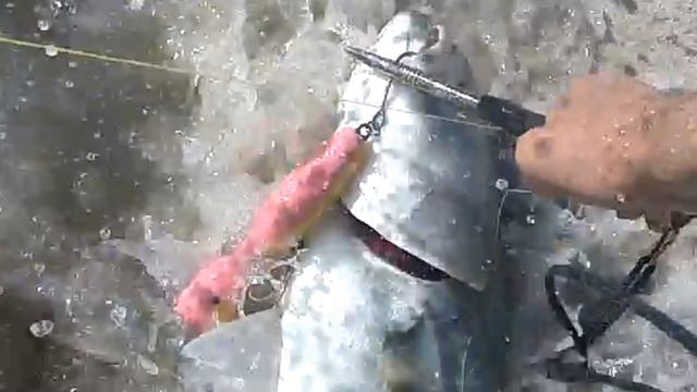 Long Island Surf Fishing RIDE OF THE VALKYRIES Jones Beach & Wagner 2016 смотреть онлайн