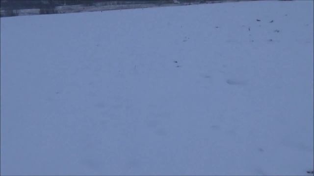 Осенне Зимний Коп 5 ЗелКоп смотреть онлайн