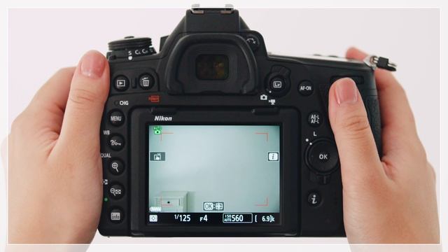 D780 - Advances in Autofocus: Viewfinder and Live View Photography | Digitutor смотреть онлайн