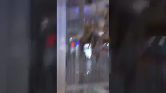 торговый в Мексике в Канкуне