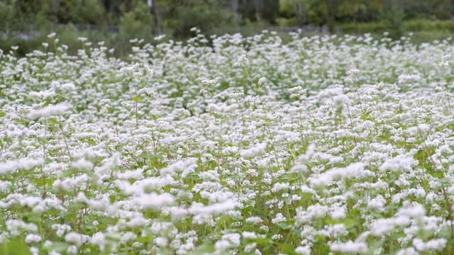 Подсказка. Правильно заданный вопрос смотреть онлайн