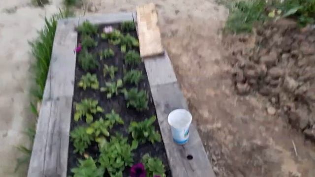 Цветники и теплица 10 мая. Новая Москва. смотреть онлайн