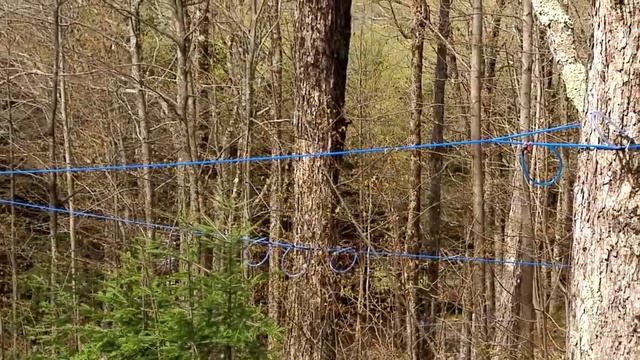 Канадская глубинка. Дороги без асфальта, и места, где не ловит МОБИЛЬНЫЙ смотреть онлайн