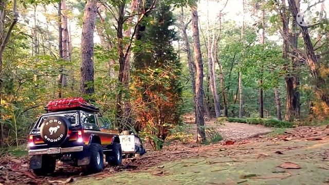 Trx4 Ford Bronco 1979 with MN86KS G500 trail run in Samsung mountain смотреть онлайн