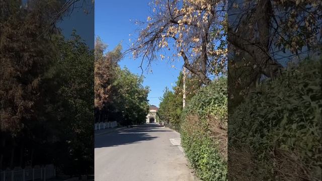 Прогулка по Ташкенту. Мирзо-Улугбекский район. #ташкент #узбекистан смотреть онлайн