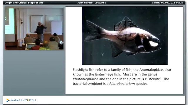 Saas-Fee Course From Planets to Life (2011), Course 3 - Lecture 9 смотреть онлайн