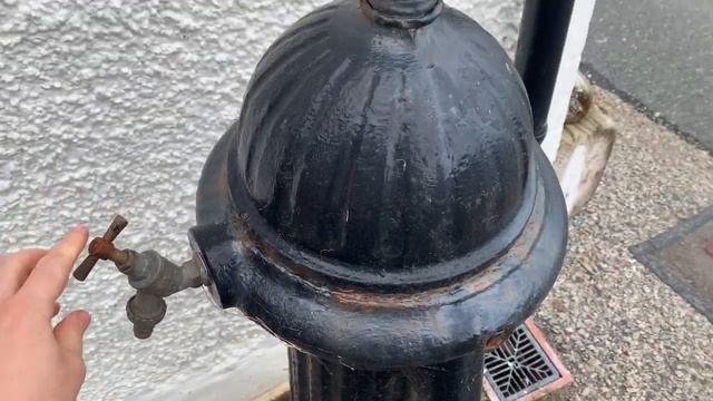 ПУТЕШЕСТВИЯ ПО ШОТЛАНДИИ / часть 1. Road Trip, морские котики, ветряные мельницы и ночлег в палатке