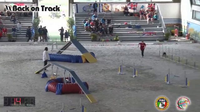 2018 World Agility Championship Повалищева аджилити смотреть онлайн