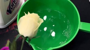 Можно ли отбелить пожелтевшие искусственные розы?гоу проверять #2